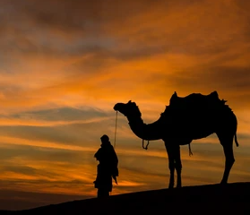 Desert and Camel